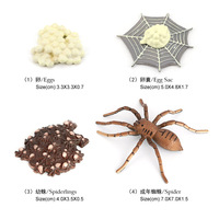 Figuras de Animales de PVC Sólido al por Mayor, Figuras del Ciclo de Vida de Mariposa, Rana y Araña