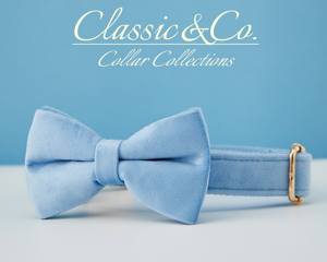 Pajarita de plomo, Skyblue Veet Girl Dog con nombre grabado Hebilla de metal, Collar de cachorro y plomo - Product Image 4