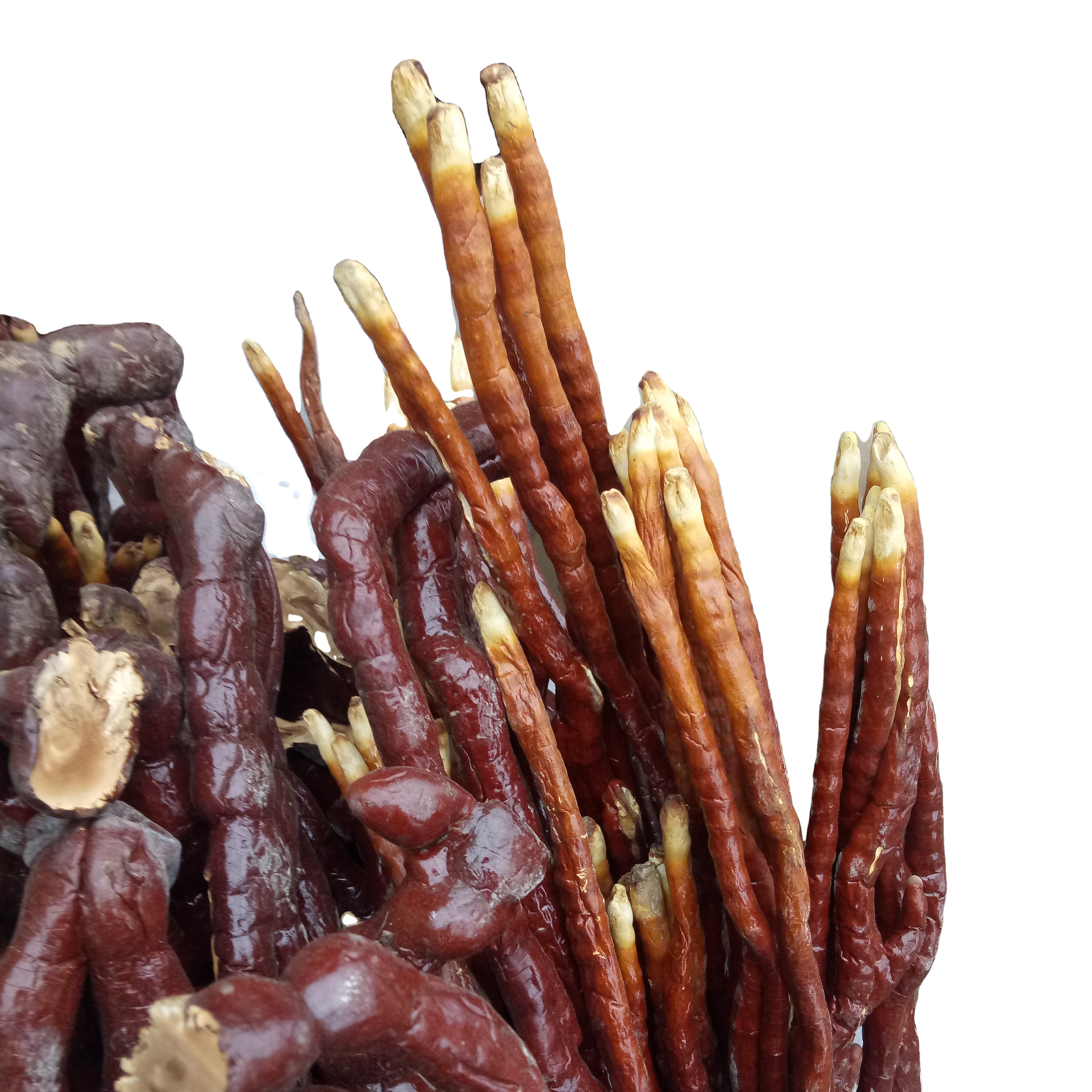 Сушеный натуральный весь Ганодерма amboinense для тонизации Lujiao lingzhi Superfood