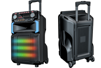 Système de sonorisation vocal extérieur HL-A1020, module d'enceinte sur chariot, enceinte + amplificateur + module