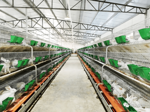 Supplément multivitaminé parfaitement formulé pour l'élevage de lapins à viande saine - Product Image 5