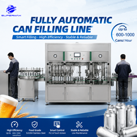 Machine de remplissage et de bouchage automatique isobare pour canettes, contrôle PLC, 6, 8 ou 10 têtes personnalisables pour bière, soda, brasserie, garantie 1 an
