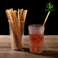 SUMKOKA Paille en papier pour bagasse de canne à sucre emballée individuelle biodégradable compostable jetable