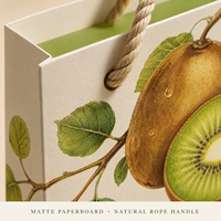 Vers geselecteerde kiwi geschenkverpakking met touwhandvat, op maat gemaakte saliegroene kartonnen fruitverpakking, groothandel