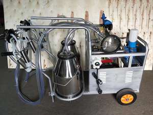 110V/60HZ電動機 + ガソリンエンジンデュアルワーキング2牛搾乳機HJ-CM011VD - Product Image 2