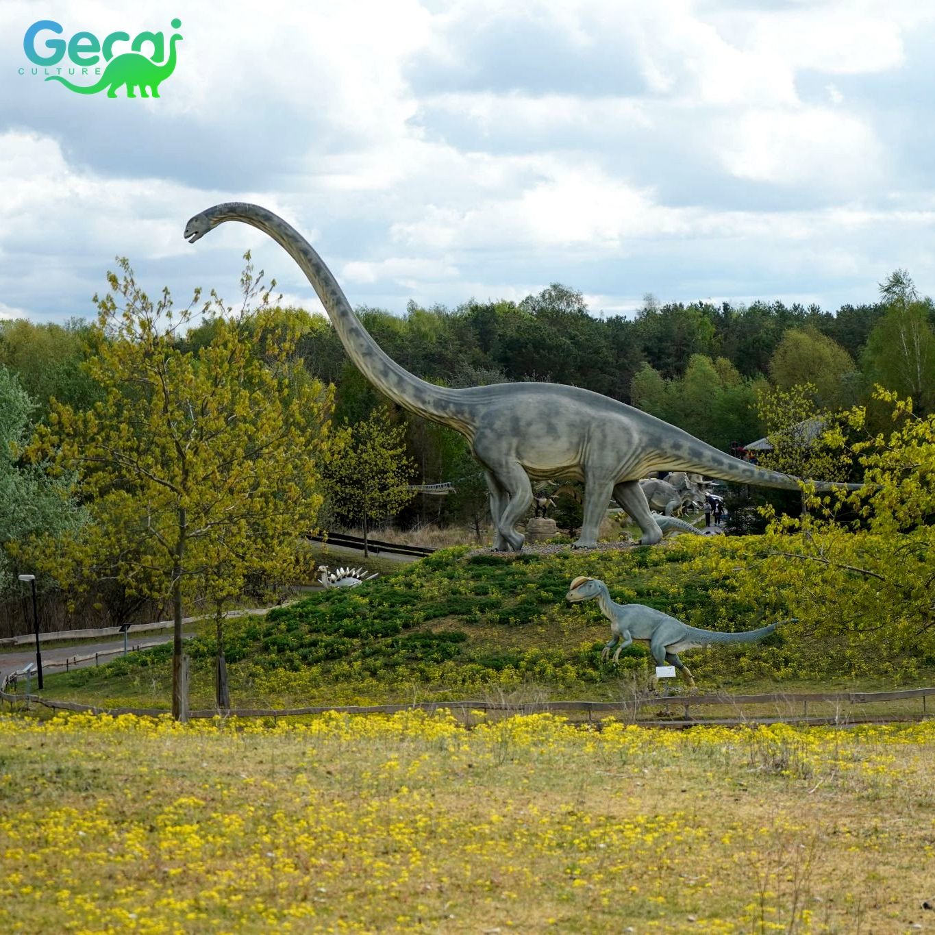 สีสามารถ customizedcdab5f ได้