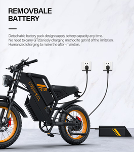 Vélo électrique de type Streetbike 48V 1000W à double batterie - Product Image 4