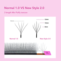 Nouvelles extensions de cils 5D en forme de W, douces, épaisseur 0,07 mm, courbure C D, faites à la main, réutilisables, 12 rangées par étui