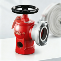 Hydrants d'incendie intérieurs durables et économiques sur mesure pour bâtiments commerciaux – Vente en gros