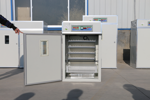 Incubadora automática de <span class=keywords><strong>huevos</strong></span> de gallina de <span class=keywords><strong>Guinea</strong></span> 352 - Product Image 4