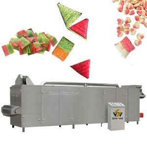 Automática Bi colores dos colores 200 kg/h capacidad frito <span class=keywords><strong>Gamba</strong></span> cracker Extrusora arroz frito corteza cornetas máquina freidora - Product Image 6