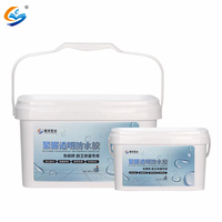 Agent hydrofuge antidérapant invisible anti-moisissure en polyurée revêtement imperméable mastic transparent pour carreaux