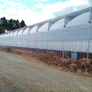 Cà chua nhiệt đới đa-span nông nghiệp lớn nhà kính cho rau phát triển răng cưa thiết kế thủy canh Tính năng bộ phim nhựa - Product Image 1