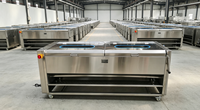 400KG/H Falcon borstelrol aardappel- en fruitwasmachine, roestvrij staal, automatische wortelgewaswasser en -schiller