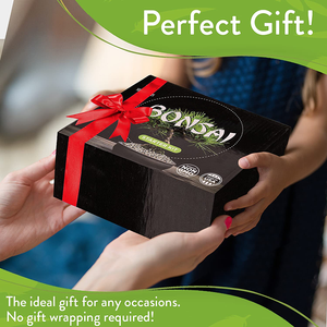 Cadeau <span class=keywords><strong>de</strong></span> noël bricolage adulte enfant artisanat pousse <span class=keywords><strong>intérieur</strong></span> 4 germes Types germer cadeaux Kit <span class=keywords><strong>de</strong></span> <span class=keywords><strong>d</strong></span>émarrage bonsaï - Product Image 6