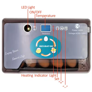 Mini incubadora de huevos y incubadora de pantalla electrónica para incubar huevos de gallina, nueva condición para la venta, 12 Uds. - Product Image 4
