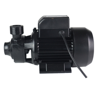 Qb60 Perifer Pompa Air 0.5hp