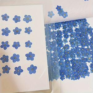 Flor Natural Real Seca Forget Me Not Pressed <span class=keywords><strong>para</strong></span> Funda de Teléfono, Marcador Epoxi Botánico, Fabricación de Joyas de Resina, Arte Enmarcado - Product Image 1