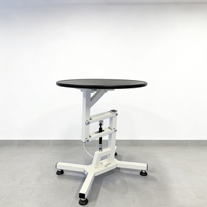 <span class=keywords><strong>Table</strong></span> de toilettage électrique pour animaux de compagnie avec bras de toilettage fixes et pivotants et tapis robuste pour le toilettage de chiens de grande taille - Product Image 1