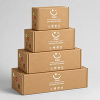 Producer Triplex Kraftboard Tough Solid Green Recyclable Carbon-neutral Freight Corrugated Airplane Mailer Box Free Sample