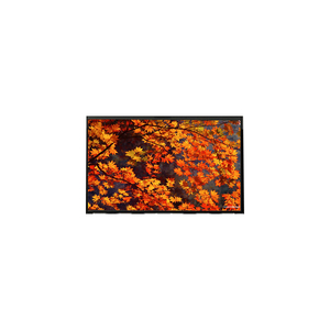LP133WX1-TLB2 ขายส่งจอแสดงผล TFT LCD รุ่นล่าสุด ขนาด 13.3 นิ้ว 1280*800 แผงจอ LCD แบบ CCFL - Product Image 1