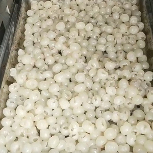 เครื่องปอกผิวสกัดจากลำไยเครื่องมืออัตโนมัติเครื่องปอกเปลือกแกนแกนเมล็ดสกัดจากผลลำไย - Product Image 5