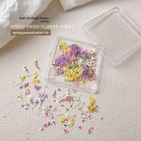 Accessoires de résine pour nail art : fleurs séchées, pétales de peinture à l'huile style Monet, petites fleurs d'inspiration japonaise, assortiment DIY