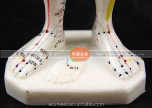 Modello di Punti di Agopuntura Umani Maschili per Muscoli del Corpo, Stile Cinese - Product Image 4