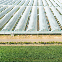 Serre en film PE multi-chapelles à structure en acier galvanisé, petite serre commerciale blanche monocouche pour légumes et fleurs