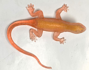 Animales de <span class=keywords><strong>Granja</strong></span> de Plástico Suave, Lagarto Realista, Juguetes Educativos de Aprendizaje - Product Image 5