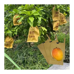 Wholesale Waterproof Single/Double Layer Mango Covering Growing Paper Bags For Fruit Protection Bag