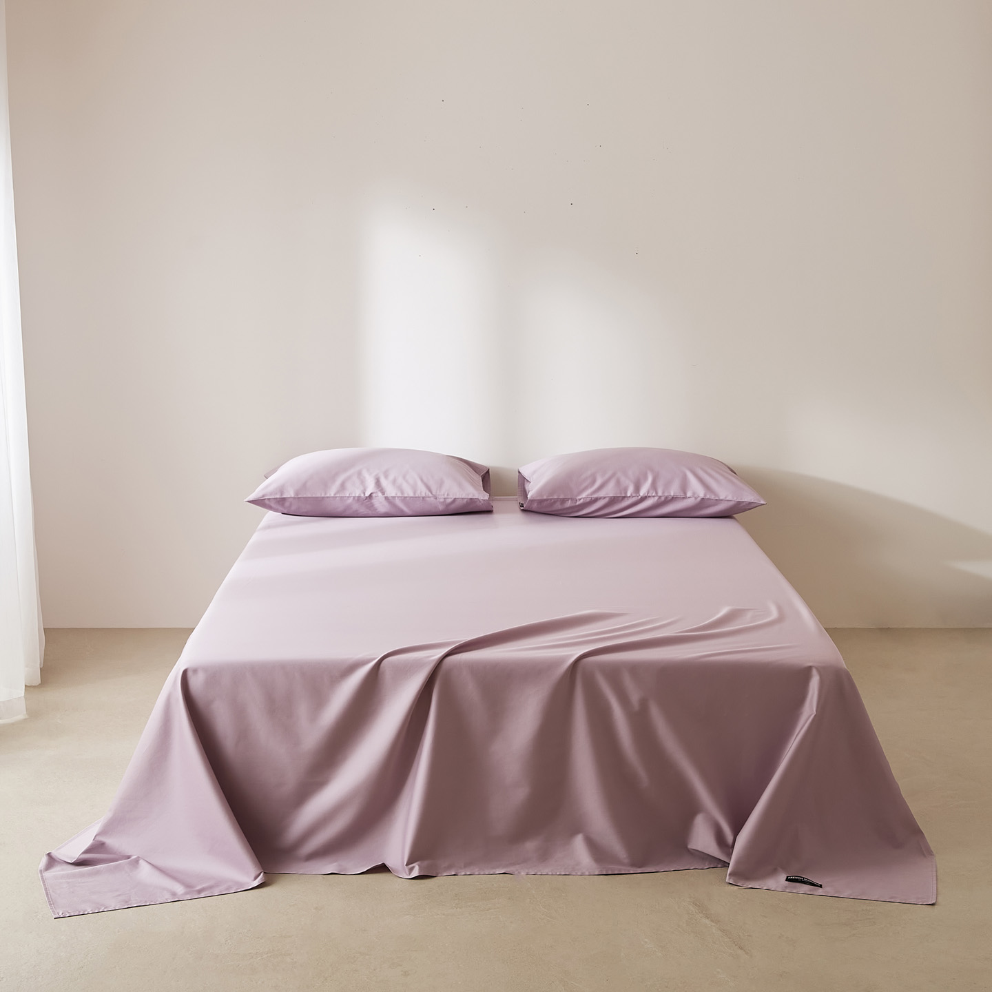 Twilight Wisteria Purple