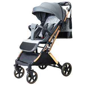 Double Stroller with Stand: Best for Twins & Travel