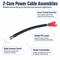 Câble personnalisé OEM, assemblage de connecteurs multipolaires, transmission de signal précise, faisceau de câblage, appareil électronique grand public, carte de jeu
