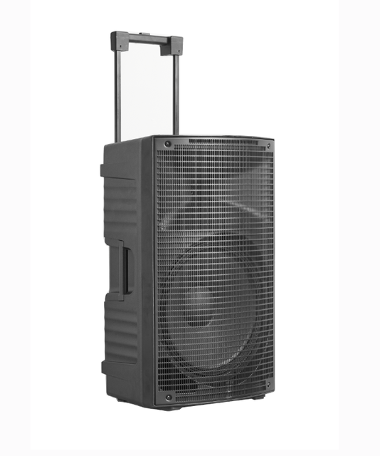 15 Inch Rechargeable Portable PA Speaker System with Class D Amplifier 2 UHF Wireless Microphones for Outdoor Events Karaoke