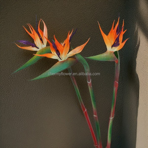 CM-TH1229 artificiali tropici fiori decorazioni per la casa morbido PVC artificiale vero tocco uccello del paradiso pianta fiore