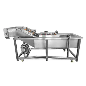 Factory supply vegetable cleaning machine/vegetable cleaning equipment/fruit cleaner machine