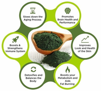 Poudre de spiruline de qualité alimentaire OEM, stimulant immunitaire avec 60% de protéines, emballage en fût de 1 kg