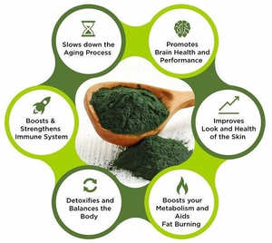 Organik Gıda Sınıfı Spirulina Tozu OEM Bağışıklık Güçlendirici %60 <span class=keywords><strong>Protein</strong></span> İçeren 1kg'lık Tambur Ambalajında - Product Image 4