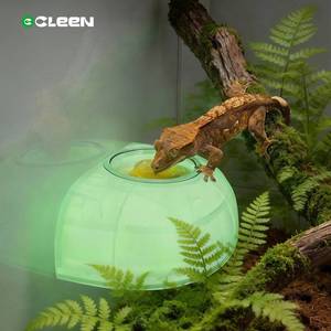 Cleen Glow-in-the-Dark PP Materiaal Ecologisch Duurzame Fruitpuree Voederbak voor Reptielen Schildpadden Magnetisch Hangende Voederbak - Product Image 1