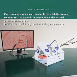 Directe Verkoop Van Fabrikant Enkele Laparoscopische Trainingsdoos Met Lichtbron Medische Wetenschap Chirurgie Trainingsinstrument - Product Image 5