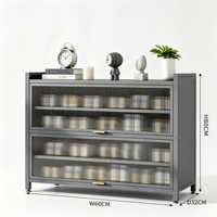 Meuble à chaussures en acier pour entrée, autoportant, grande capacité, style minimaliste moderne, rangement pour salon