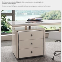 Bureau familial léger en forme de plaque de roche avec tiroirs en métal, avocat et bureau d'ordinateur administratif