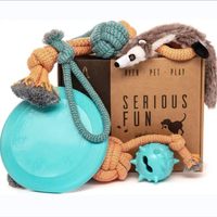 Ensemble de 6 jouets pour chiot, comprenant une balle en peluche couineuse avec corde, un disque volant et une balle à mâcher, kit de démarrage pour petits chiens, cadeau d'anniversaire de bienvenue