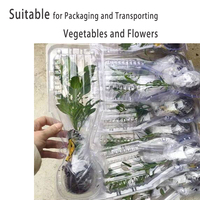 Boîtes en plastique rectangulaires fabriquées par thermoformage, type clamshell, pour l'emballage agricole et le transport de légumes et de plantes