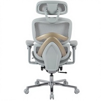 Chaise de bureau ergonomique Henglin en maille avec appui-tête 2D, accoudoirs 5D, vérin à gaz à 4 niveaux et roulettes silencieuses