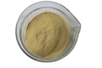Dispersant de teinture pour cuir NNO, aide à la teinture et au tannage uniformes