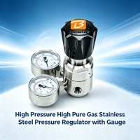 Manomètre régulateur de pression haute pression en acier inoxydable de haute pureté pour GPL, Hélium, Propane, Argon, Acétylène, Gaz naturel - Bayou-Lok