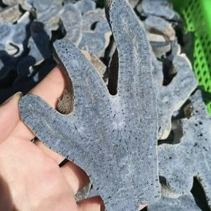Venta al por mayor de alta calidad de forma libre artesanía <span class=keywords><strong>azul</strong></span> coral <span class=keywords><strong>Jade</strong></span> y cristal de cuarzo para curación decorativa otras artesanías de cristal - Product Image 2