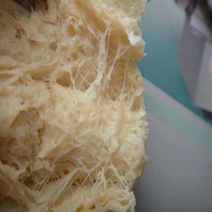 Motor de caja de cambios de procesamiento de proteínas de soja texturizadas de nutrición óptima para restaurantes, tiendas de alimentos, fabricación de alimentos - Product Image 6